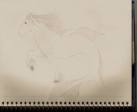 Hippokampos/Hippocampus