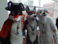 Three Poochies!