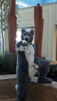 [PHOTO] 2012 Anthrocon - Thursday 02
