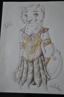 Wildlion Badge trade