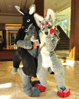 Shockwave, and Lava.