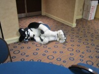 Kerlled up and sobbing in the corner