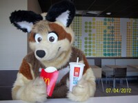 wow thows friys did not last long