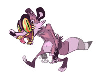 rocco raccoon does what he wants