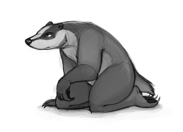 Badger Character Design by Temiree.