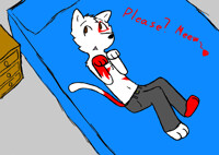 Can I has some cuddles?