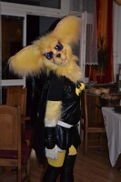 Cesfur 2012 Fursuit