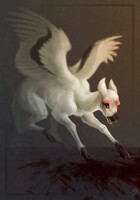 Petite Peryton Panic.  