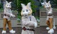 Jedi Tauntaun