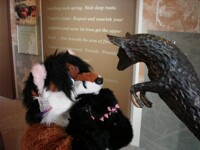 It's gonna pounce me!