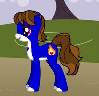 Lady Toast OC Pony