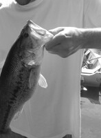 What I caught at my uncles
