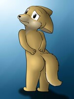 Who Keeps Taking Biscuit's Clothes?