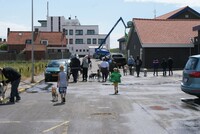 husky gang on our way to the beach