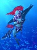 Seal Warrior V2