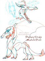 Barbary Drake Bull Concept Sketches