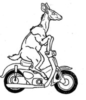 More fun than a kudu on a motorbike