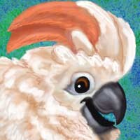 Cockatoo too too