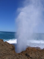 Blow hole?
