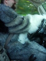 Me driving in my fursuit