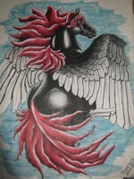 pegasus flash