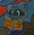 The Runaway in the Raccoon - Transformation