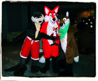 Red Shorts, Red Fox, em... brown Fox.