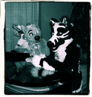 A Night by the Piano