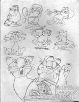 Garfield His 9 Lives