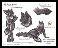 Reference Sheet - Morgan