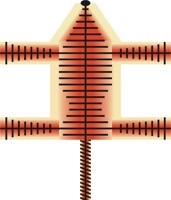 Rakshasa pelt coloration