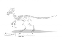 J Reference Sheet pg.3 