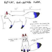 Cat Nebby PFP by HungeryFishe -- Fur Affinity [dot] net