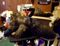 DixieVonFur teaser 3