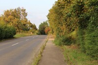  Nature Photo 3