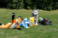 fursuit photoshoot  at the nature N.N 