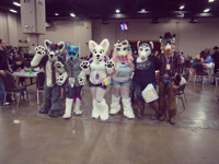 ALL DEM FURRIES