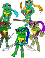 Teenage Mutant Turtle Girls