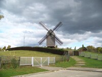 When The Apple Blossoms Bloom In The Windmills Of Your Mind 