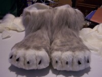 Grey wolf foot paw commission