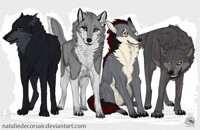 Pack