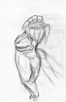 Fisheye perspective practice