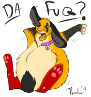 FAT BUNNY WEEK - DAFUQ!?