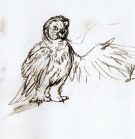 Traditional - Owl in Sepia