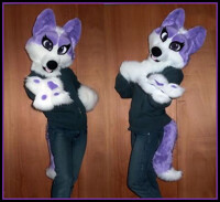 Purple Collie Partial