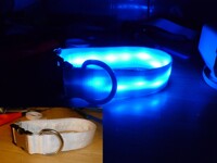 White collar with Blue LED