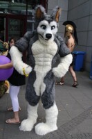 eurofurence 18 hungrywulfy