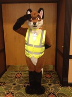 Security Fox