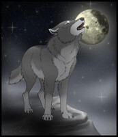 Wolf's Song