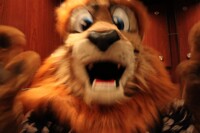 RAWR in an Elevator!!